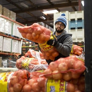 Volunteer lifting bag of onions