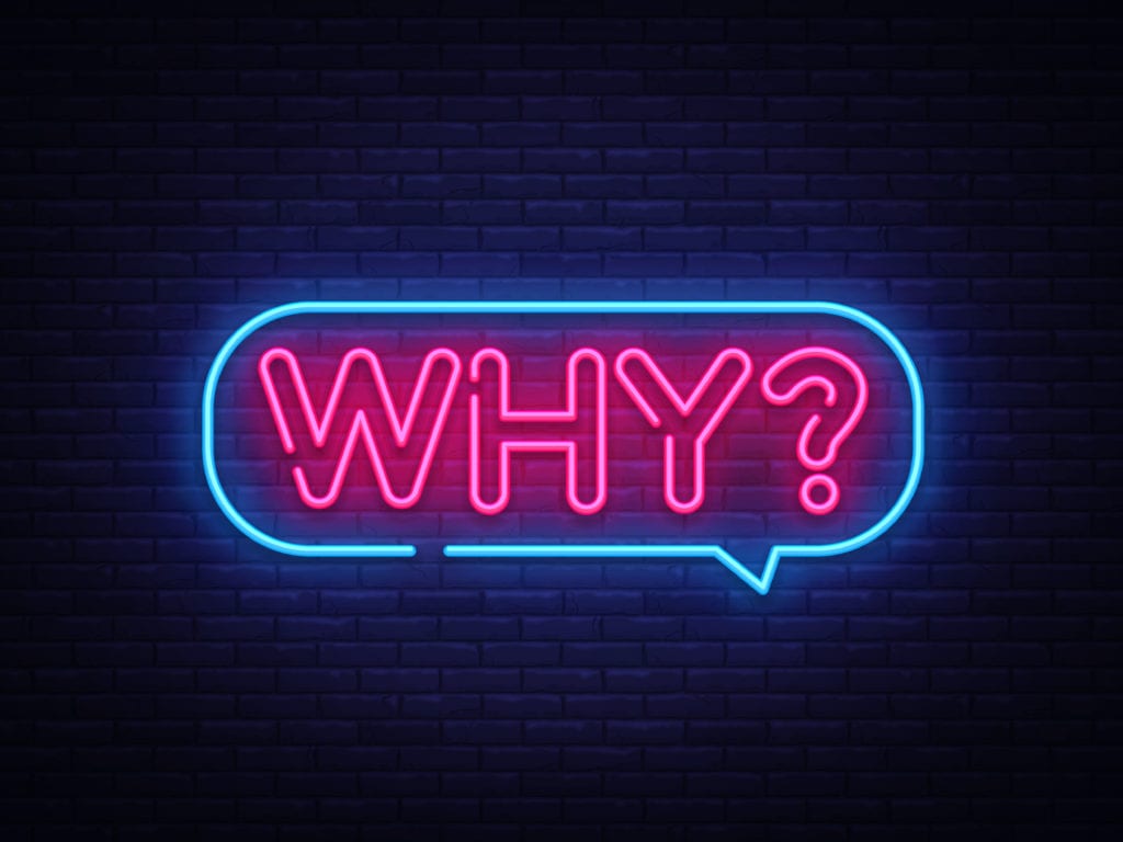 "why" in neon lights