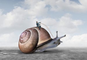 guy riding a giant snail