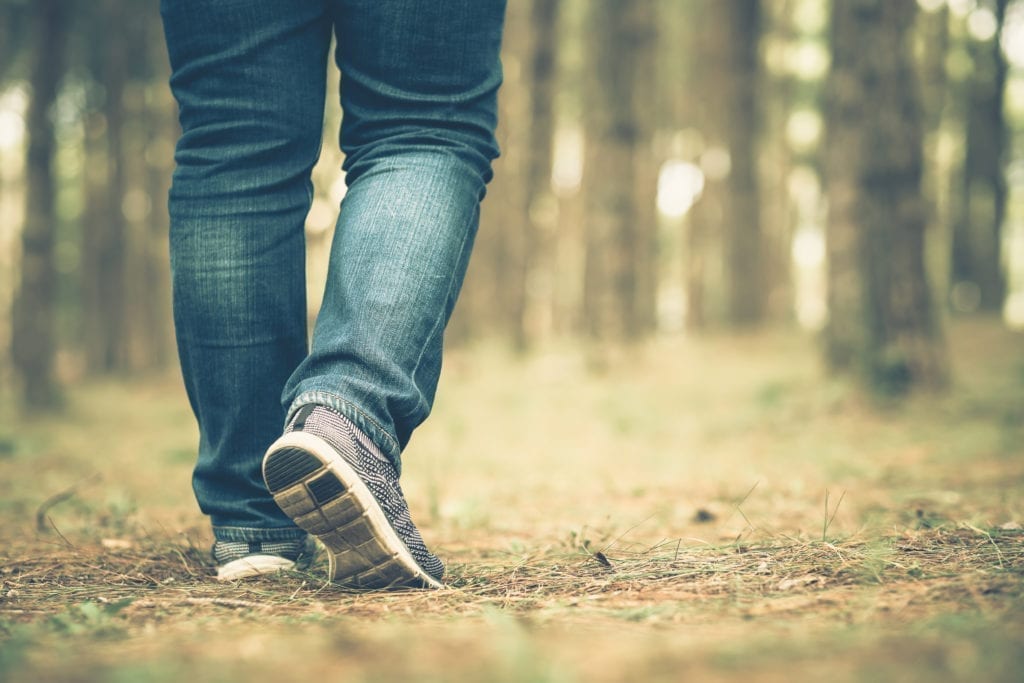 footsteps in a forest