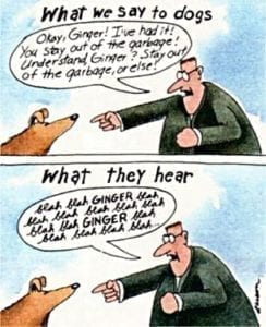 what we say to dogs cartoon gary larson